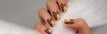 Polished Nails